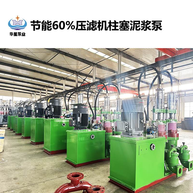 污水凈水公司液壓陶瓷柱塞泵替代螺桿進(jìn)料泵